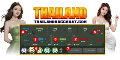 การเดิมพัน Player Banker และ Tie