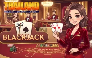 blackjack live